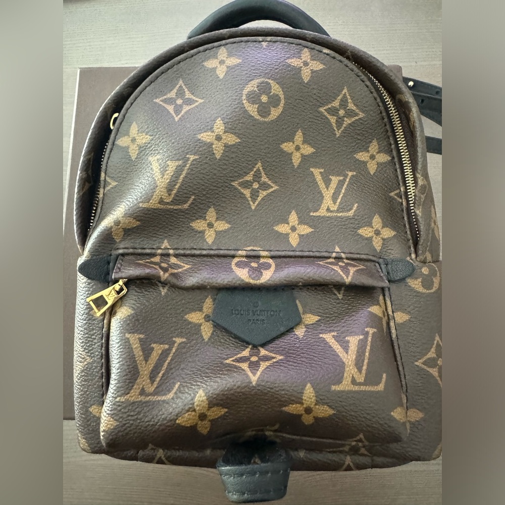 Louis Vuitton Palm Springs Mini Backpack Monogram